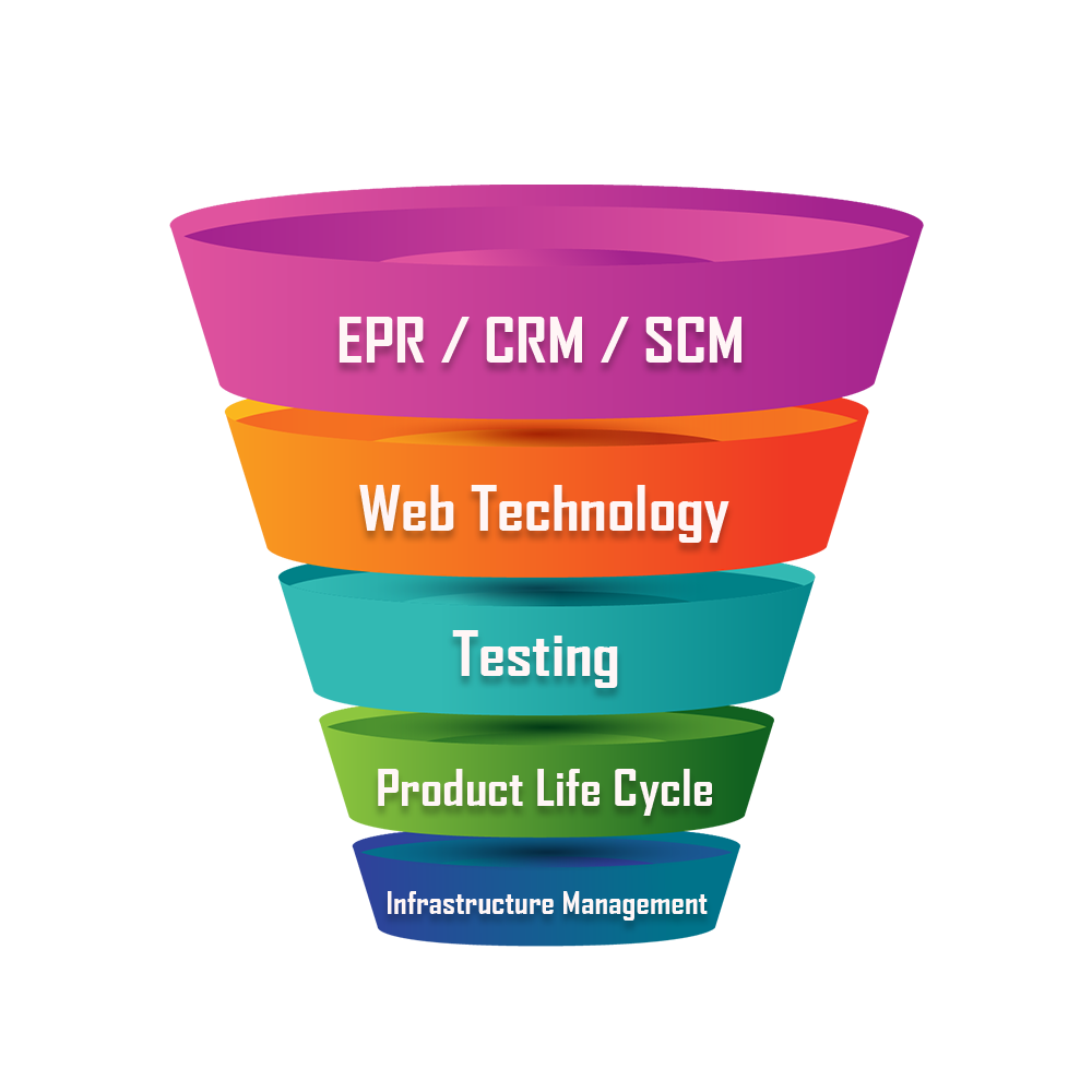 Custom Software Development